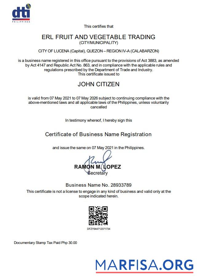 Blank Philippines Department of Trade and Industry (DTI) private interprenour sample